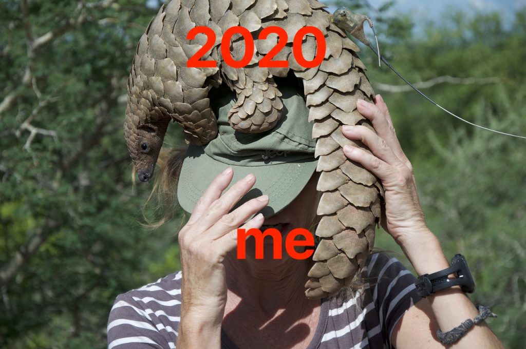 2020_summary