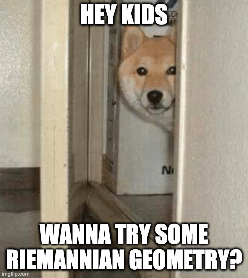 Wanna try some riemannian geometry?